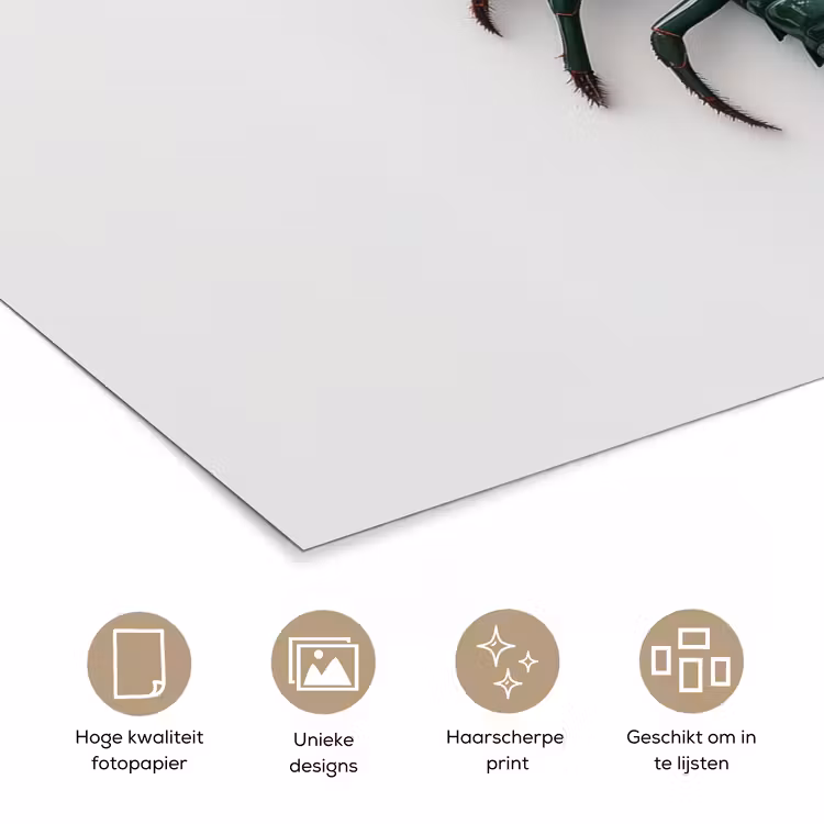 Poster – Kreeft - Glossier - Groen - Wit — 5