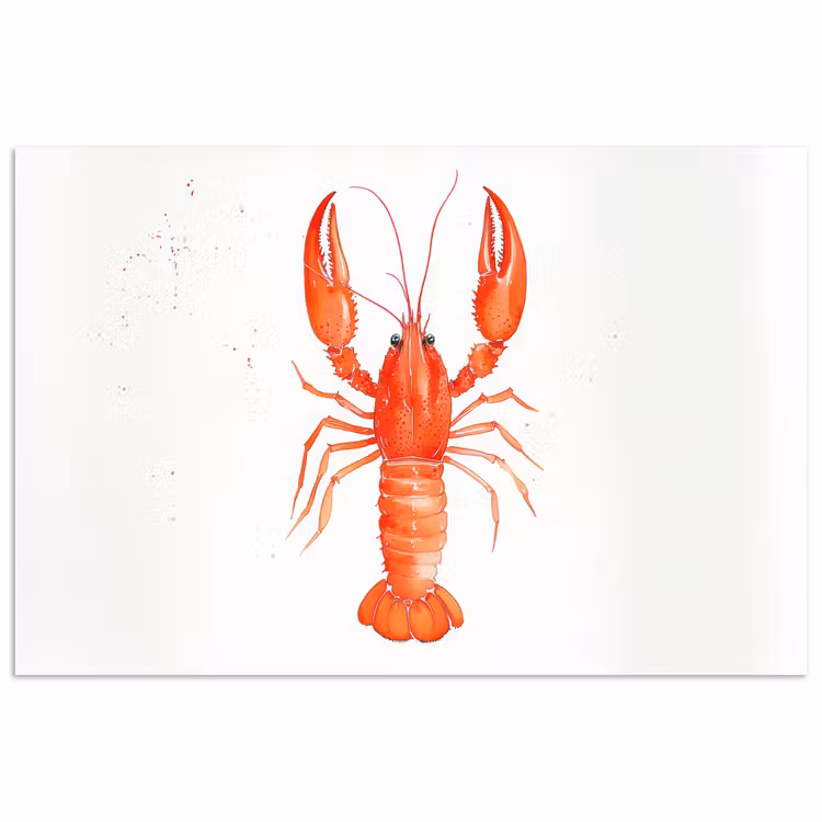 Poster – Kreeft - Waterverf - Aquarel - Oranje — 1