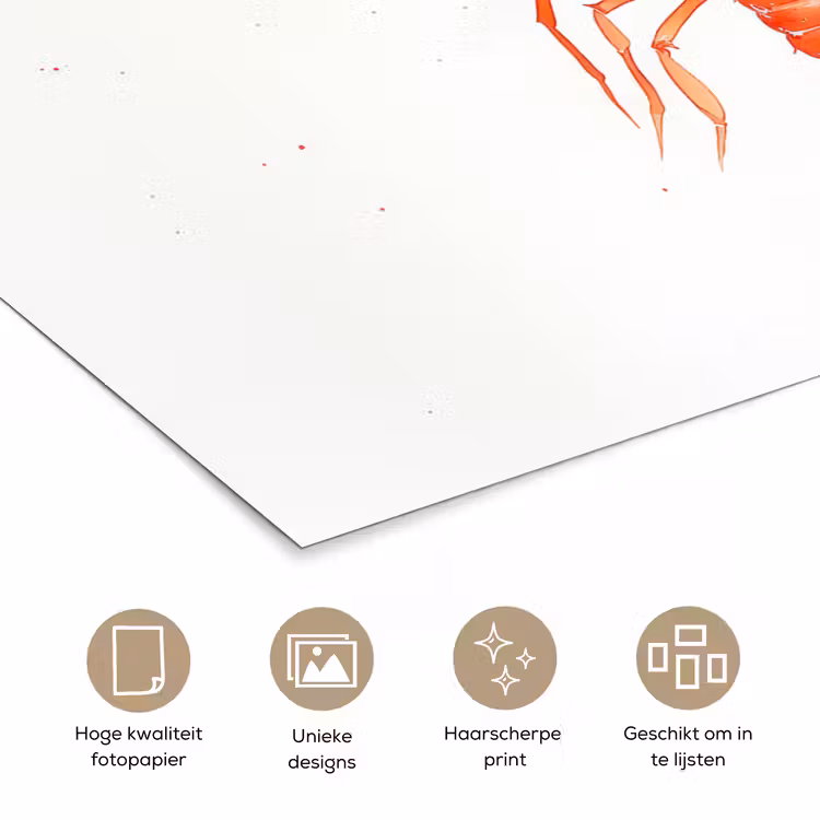 Poster – Kreeft - Waterverf - Aquarel - Oranje — 5