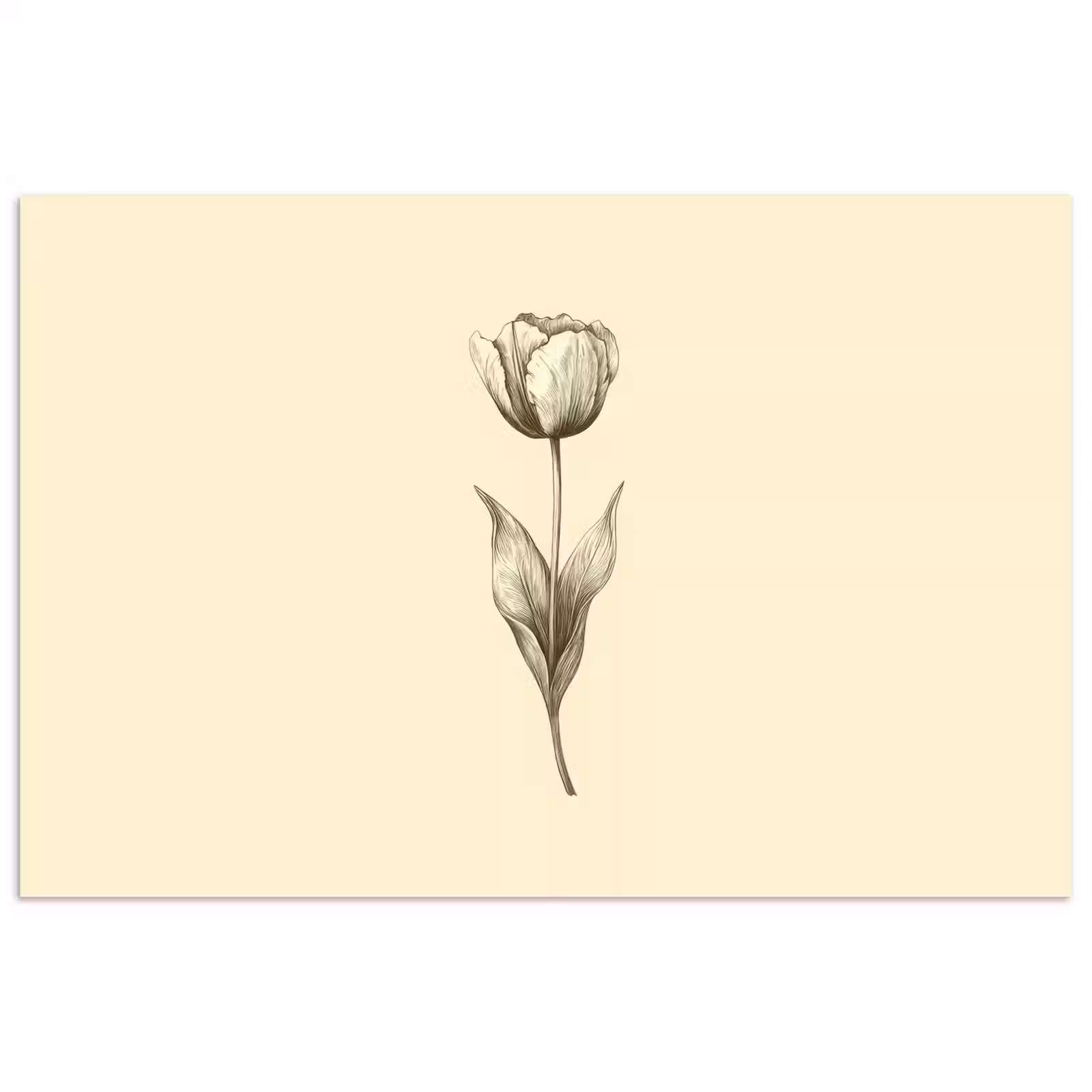 Poster – Illustratie - Tulp - Zwart — 1
