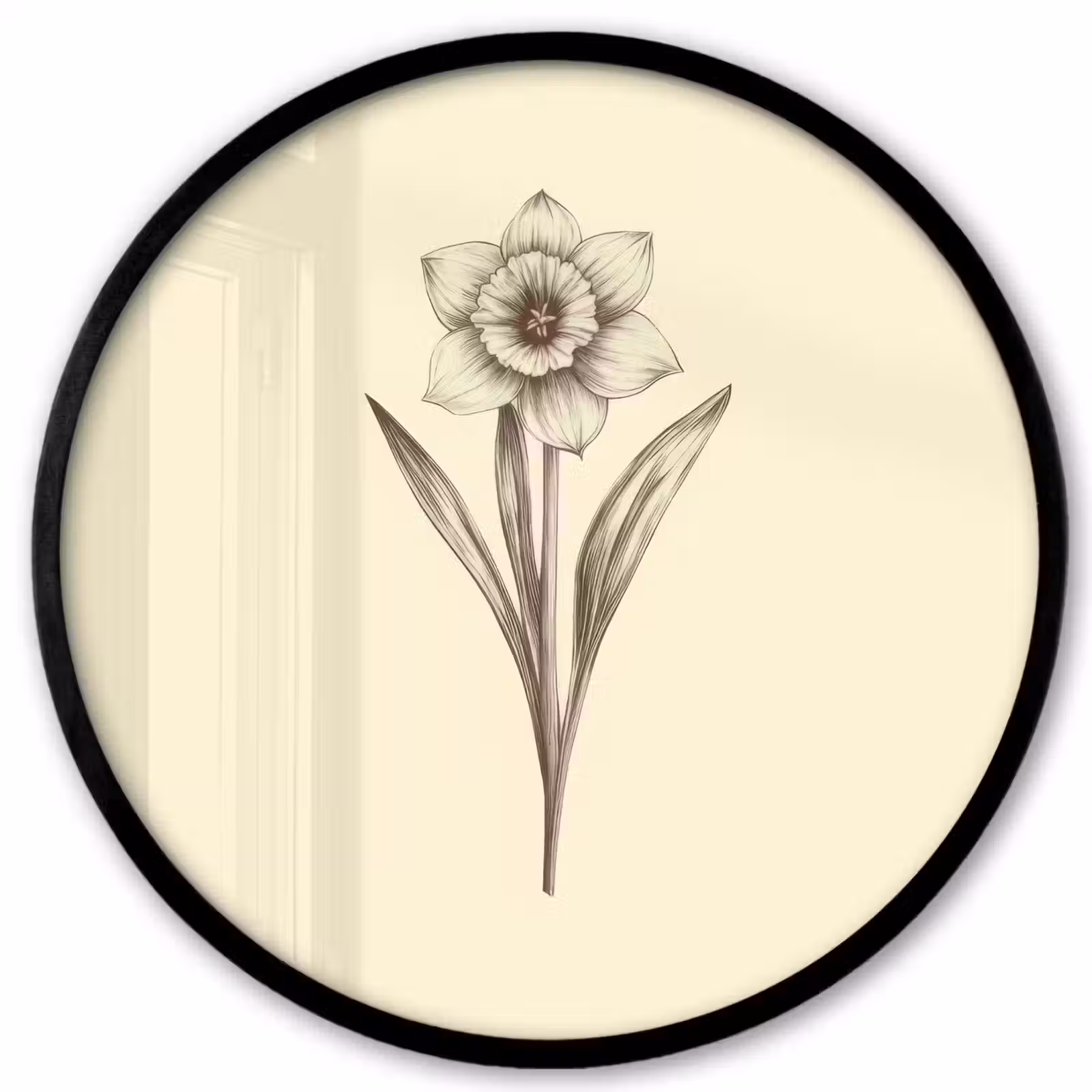 Ronde fotolijst - Zwart - Narcis - Illustratie — 1