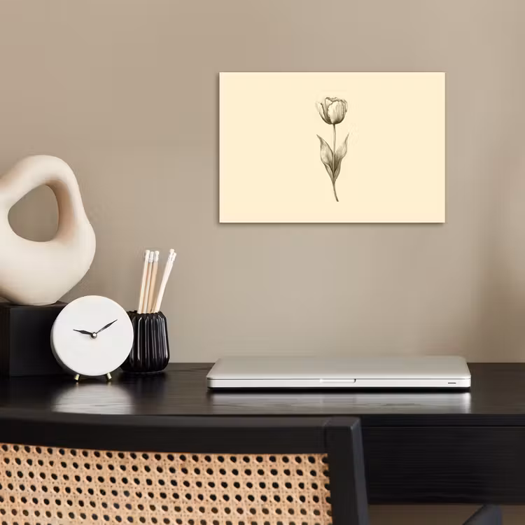 Poster – Illustratie - Tulp - Zwart — 2