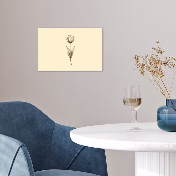 Poster – Illustratie - Tulp - Zwart — 4