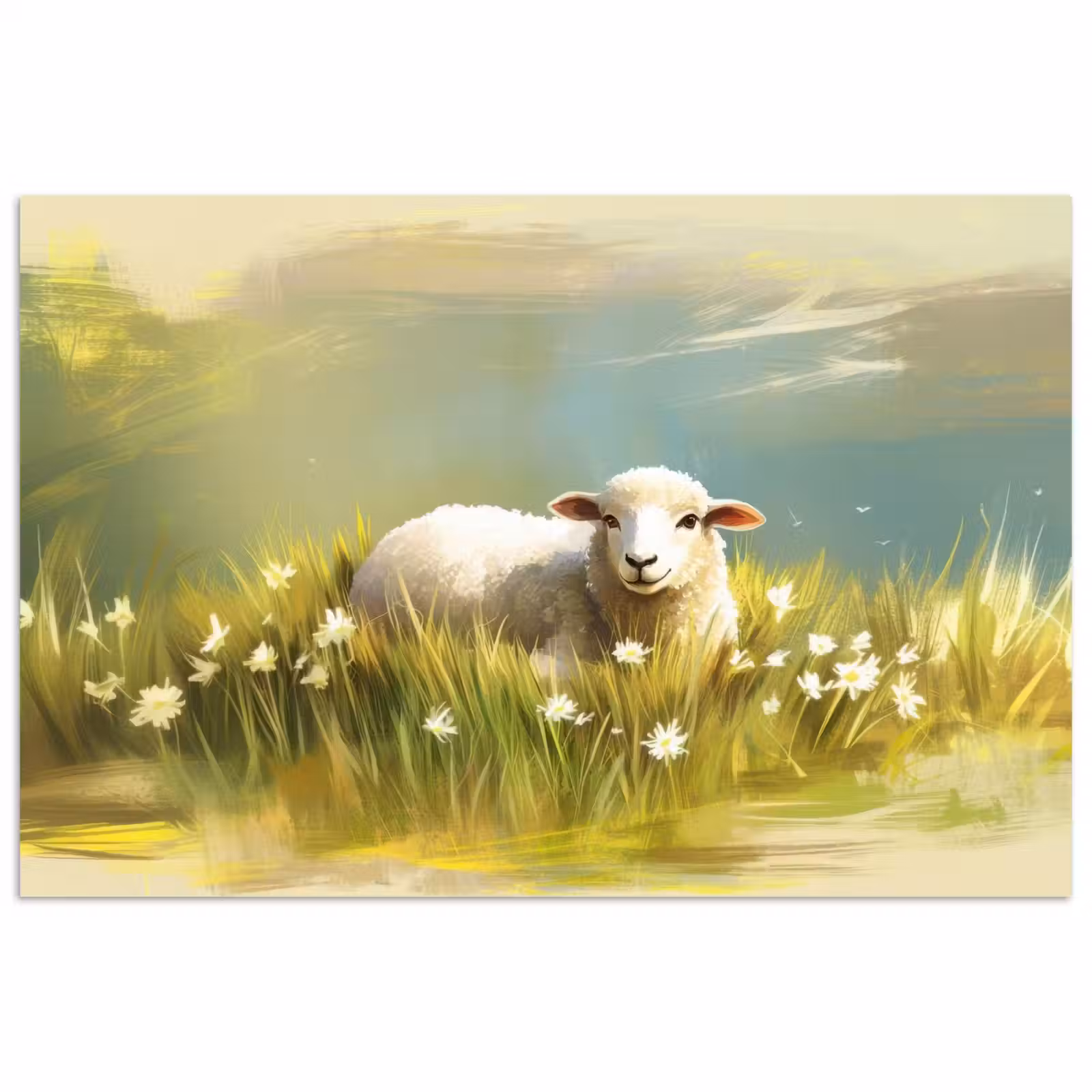 Poster – Schaap - Weide - Groen — 1