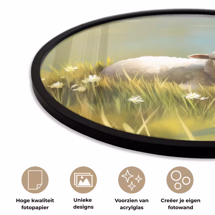 Ronde fotolijst - Schaap - Weide - Groen — 2