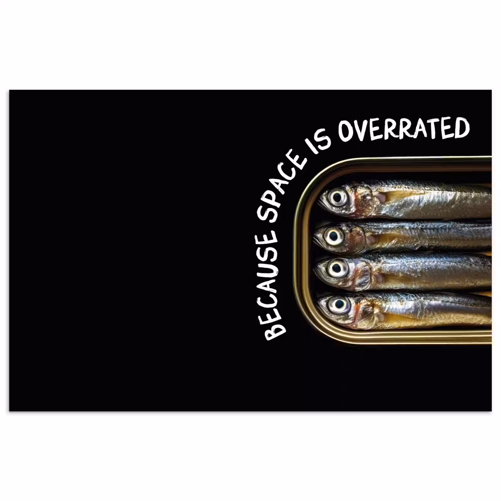 Poster – Sardines - Tekst - Vis - Blik — 1