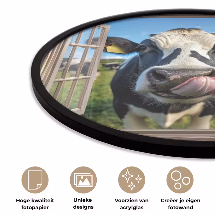 Ronde fotolijst - Doorkijk - Koe - Weiland - Dieren - Natuur — 2