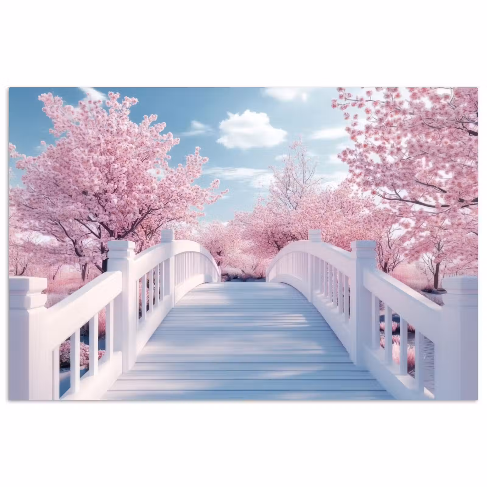 Poster – Brug - Kersenbomen - Wit — 1