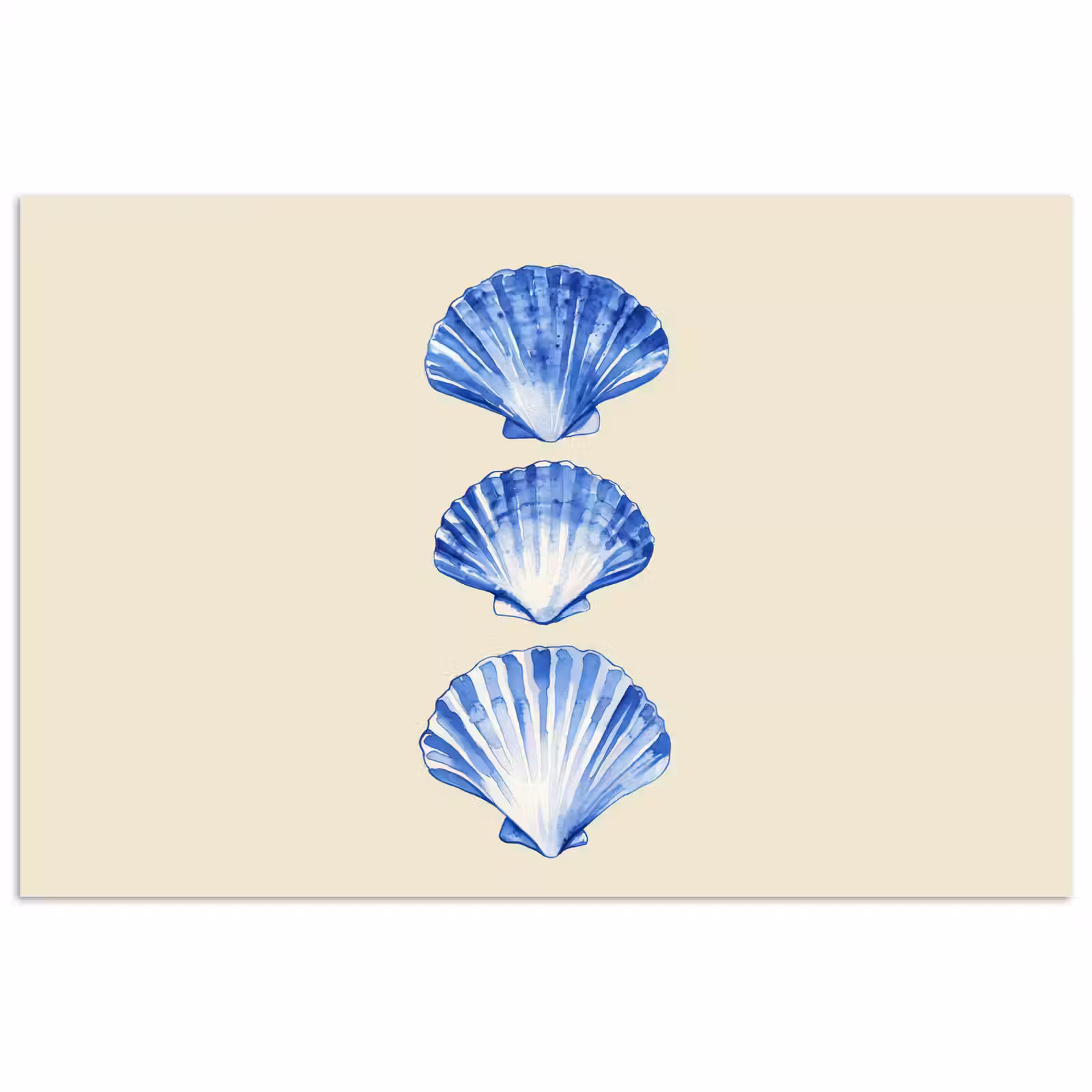 Poster – Schelpen - Blauw - Beige — 1