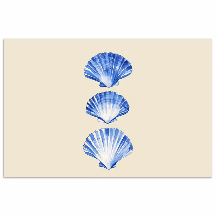 Poster – Schelpen - Blauw - Beige — 1
