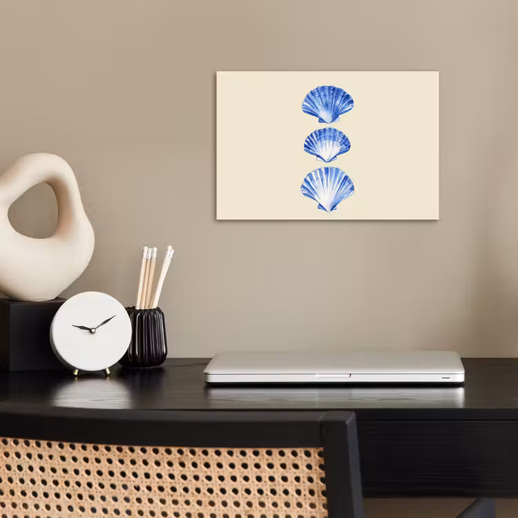 Poster – Schelpen - Blauw - Beige — 2
