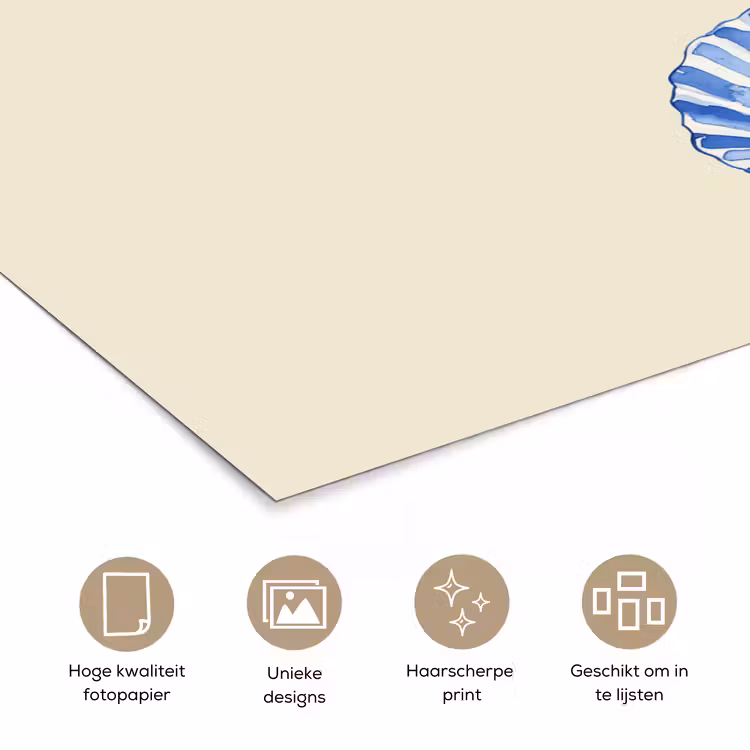 Poster – Schelpen - Blauw - Beige — 5