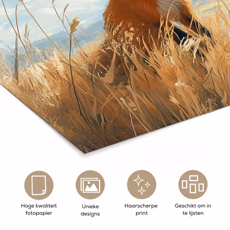 Poster – Vos - Gras - Wolken - Oranje — 5
