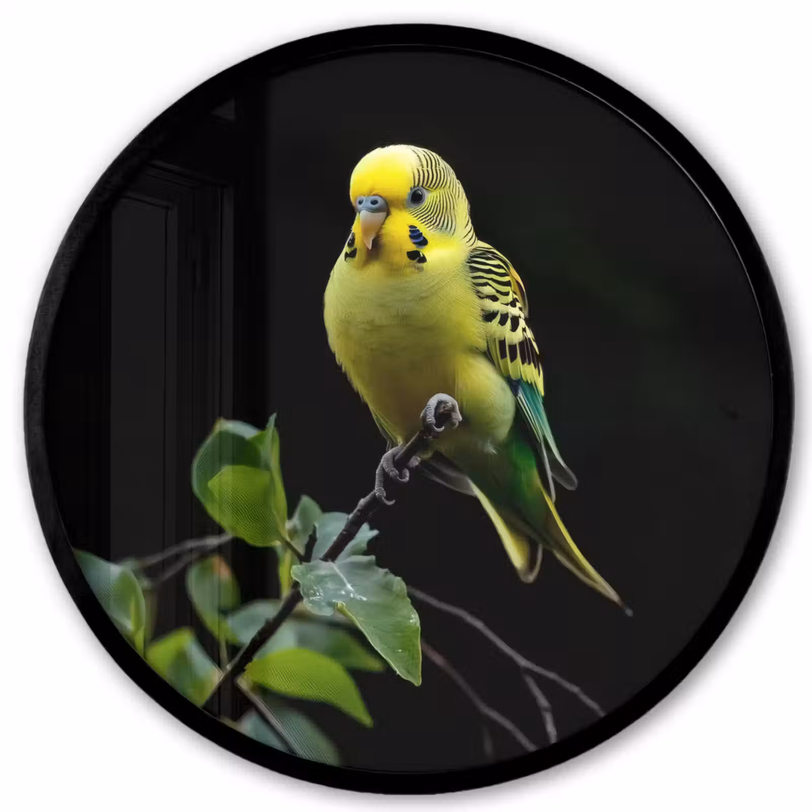 Ronde fotolijst - Parkiet - Tak - Bladeren - Geel — 1