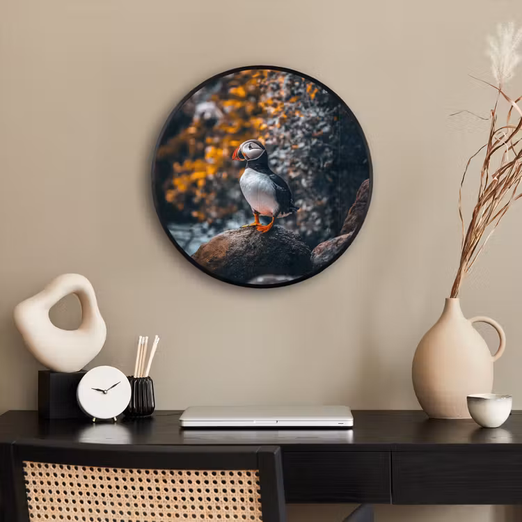 Ronde fotolijst - Papegaai - Vogel - Rots - Wit — 3