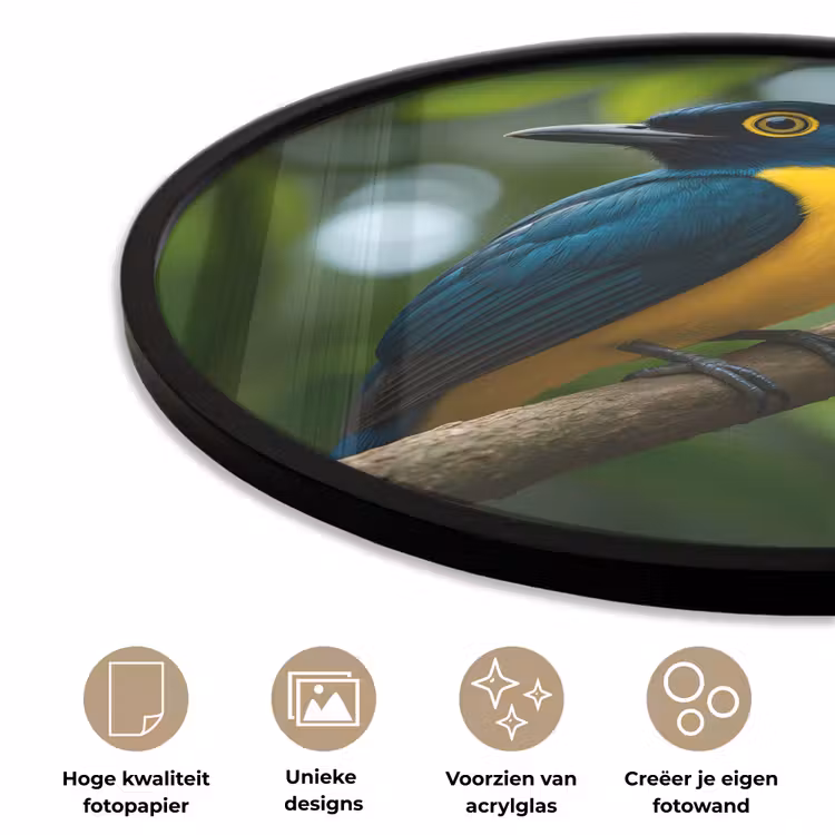 Ronde fotolijst - Vogel - Tak - Geel - Bladeren — 2