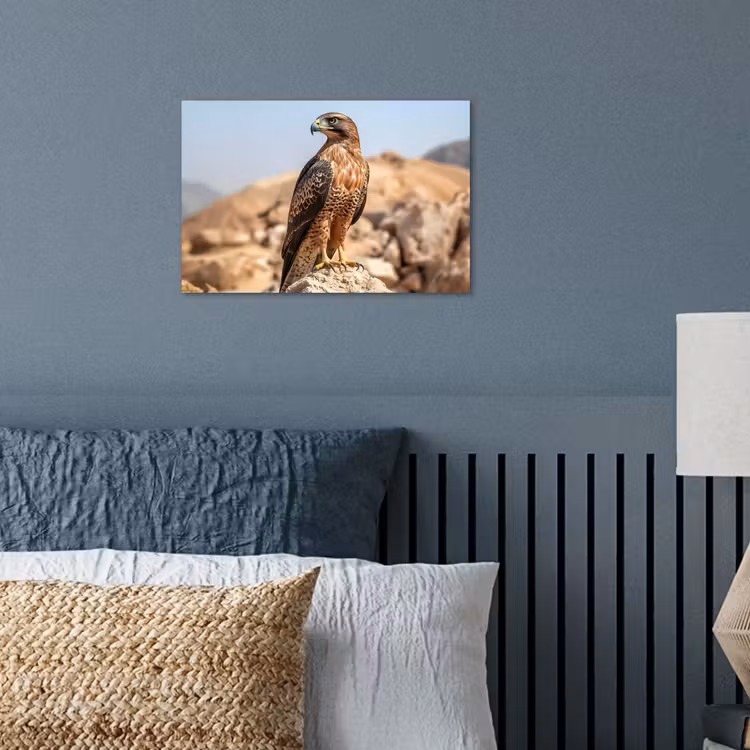 Poster – Valk - Vogel - Rots - Macht — 3