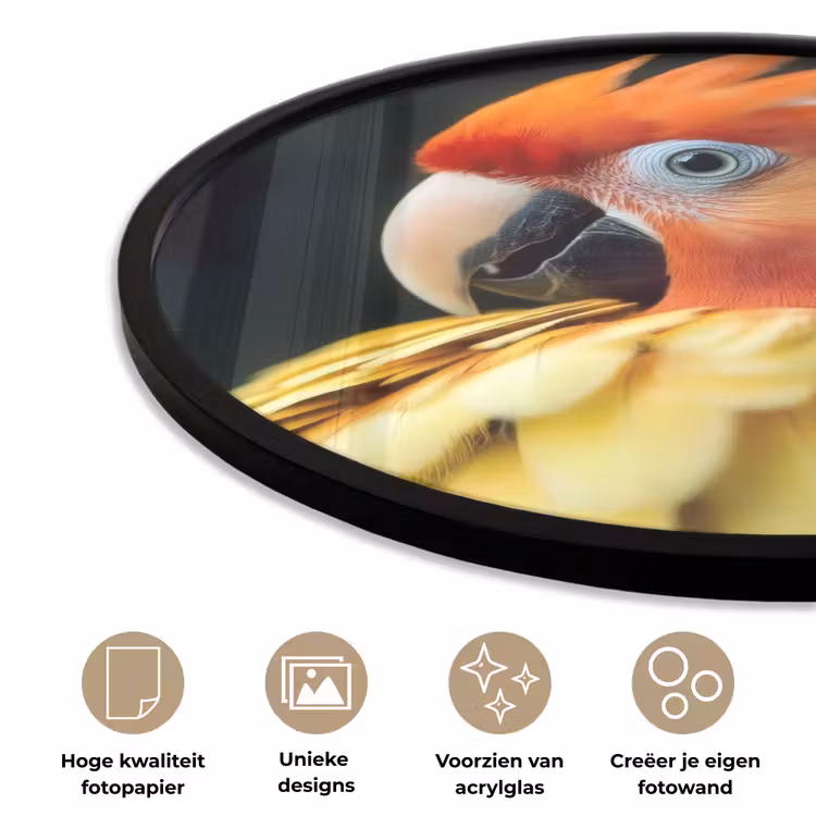 Ronde fotolijst - Close-up - Papegaai - Veren - Oranje — 2