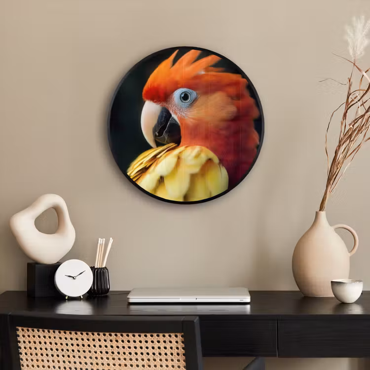 Ronde fotolijst - Close-up - Papegaai - Veren - Oranje — 3