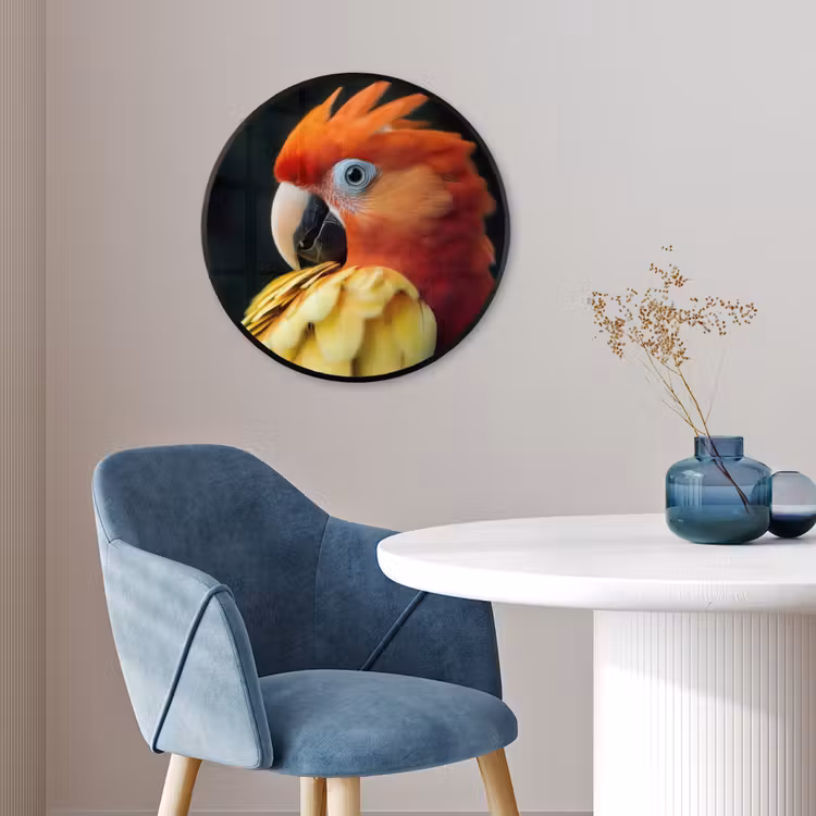 Ronde fotolijst - Close-up - Papegaai - Veren - Oranje — 4
