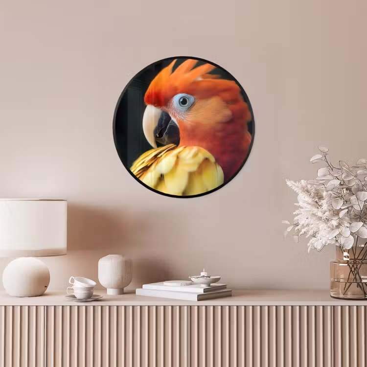 Ronde fotolijst - Close-up - Papegaai - Veren - Oranje — 5