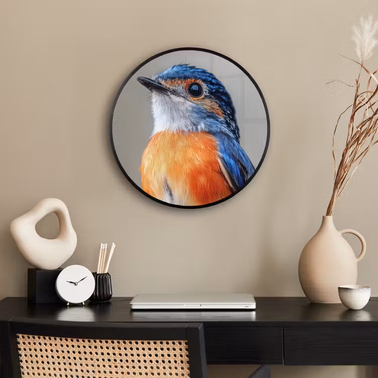 Ronde fotolijst - Kleurrijk - Vogeltje - Veren - Blauw — 3
