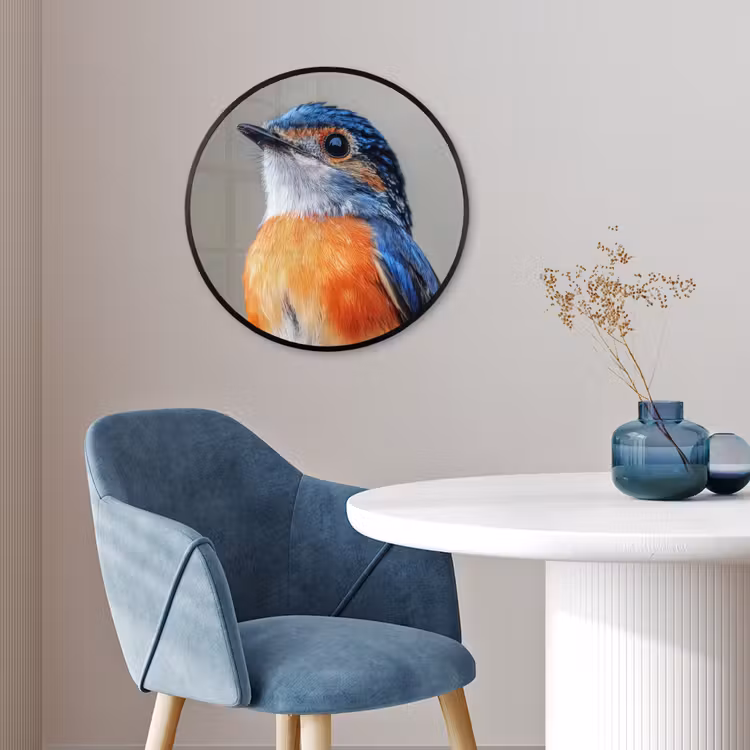 Ronde fotolijst - Kleurrijk - Vogeltje - Veren - Blauw — 4