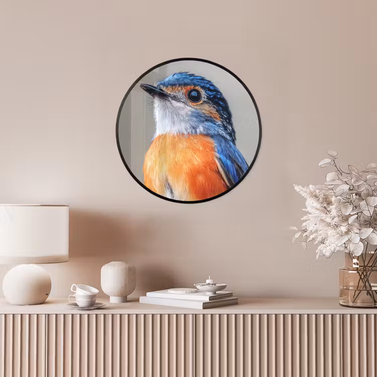 Ronde fotolijst - Kleurrijk - Vogeltje - Veren - Blauw — 5