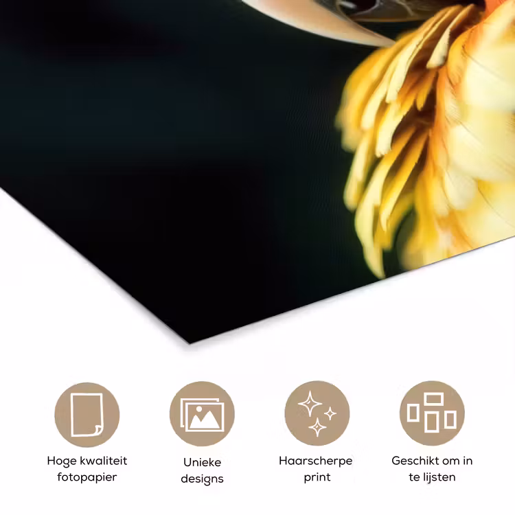 Poster – Close-up - Papegaai - Veren - Oranje — 5
