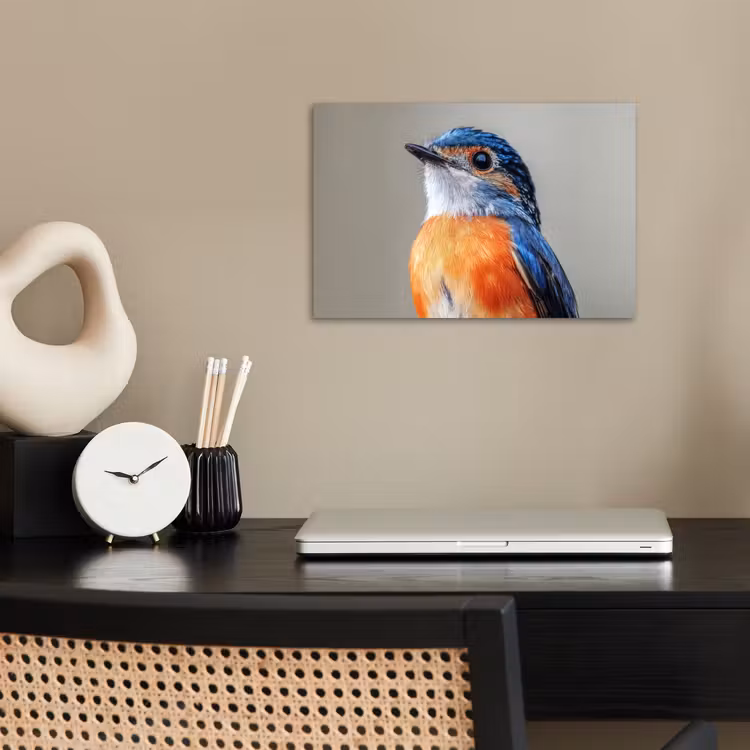 Poster – Kleurrijk - Vogeltje - Veren - Blauw — 2
