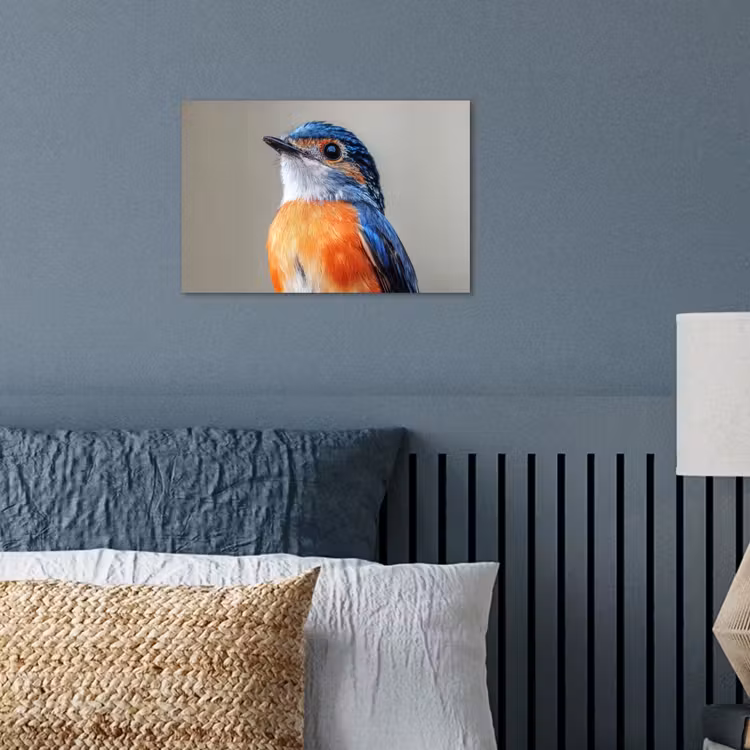 Poster – Kleurrijk - Vogeltje - Veren - Blauw — 3