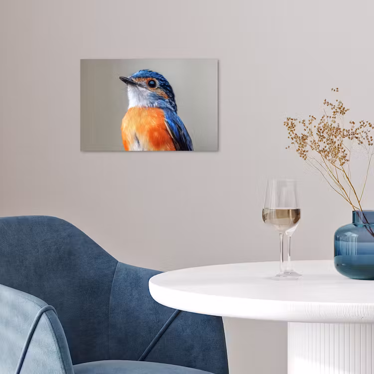Poster – Kleurrijk - Vogeltje - Veren - Blauw — 4