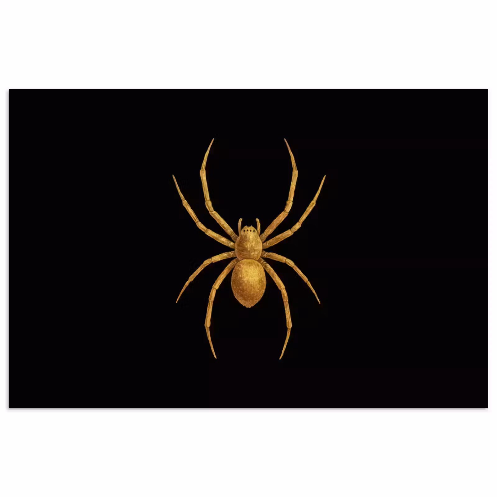 Poster – Spin - Goud - Minimalistisch - Poten — 1