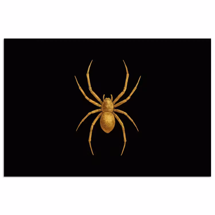 Poster – Spin - Goud - Minimalistisch - Poten — 1