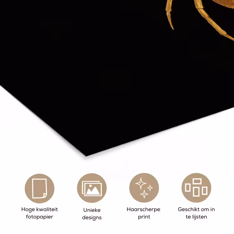 Poster – Spin - Goud - Minimalistisch - Poten — 5