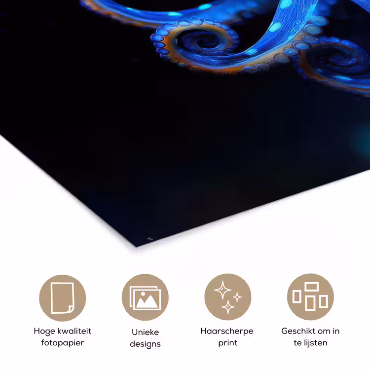 Poster – Octopus - Stippen - Blauw - Zee — 5