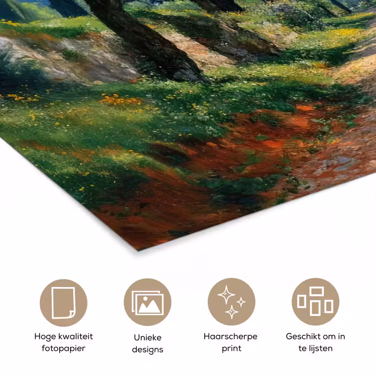 Poster – Pad - Bomen - Schaduw - — 5