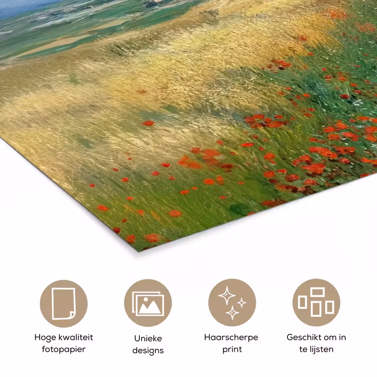 Poster – Zandpad - Huis - Bomen - Grasveld — 5