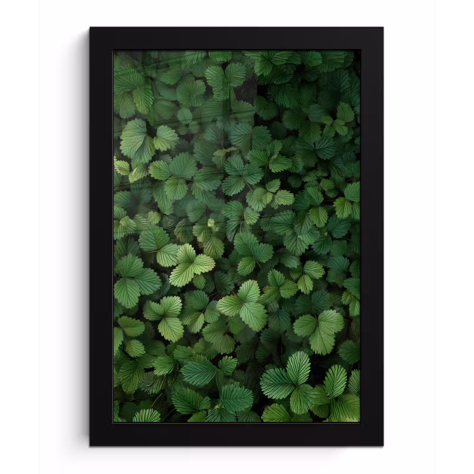 Poster met lijst - Groen - Bladeren - Kartel - Zonlicht — 1