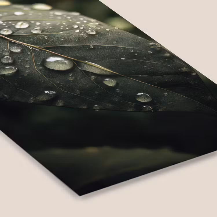 Poster met lijst - Blad - Groen - Nerven - Regendruppels — 7