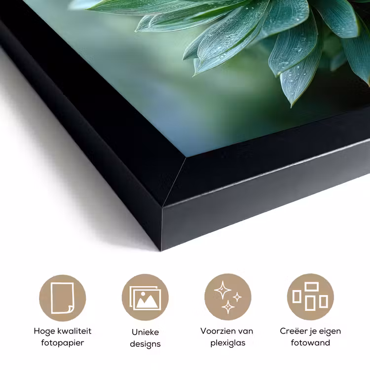 Poster met lijst - Blad - Plant - Groen - Textuur — 6