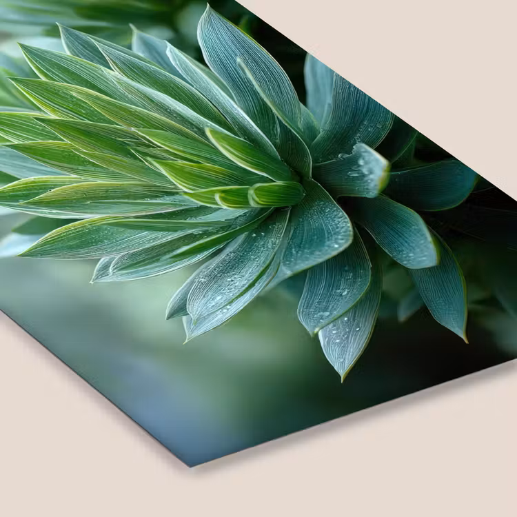 Poster met lijst - Blad - Plant - Groen - Textuur — 7