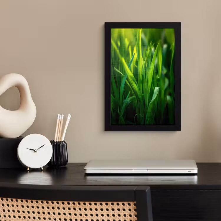 Poster met lijst - Grassprieten - Lichtinval - Groen — 2