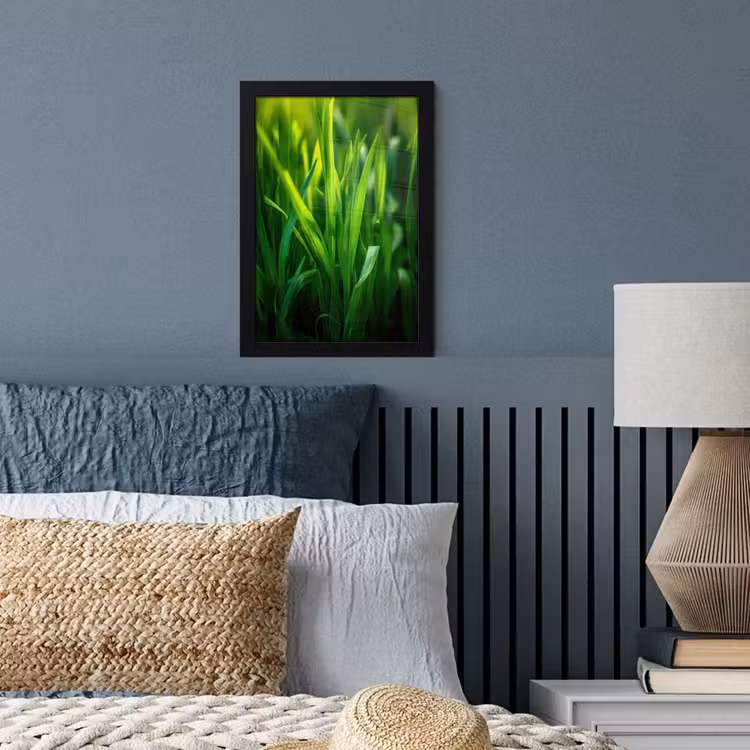 Poster met lijst - Grassprieten - Lichtinval - Groen — 3