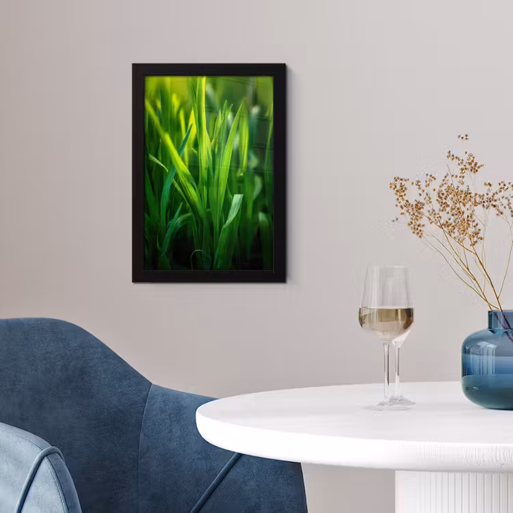 Poster met lijst - Grassprieten - Lichtinval - Groen — 4