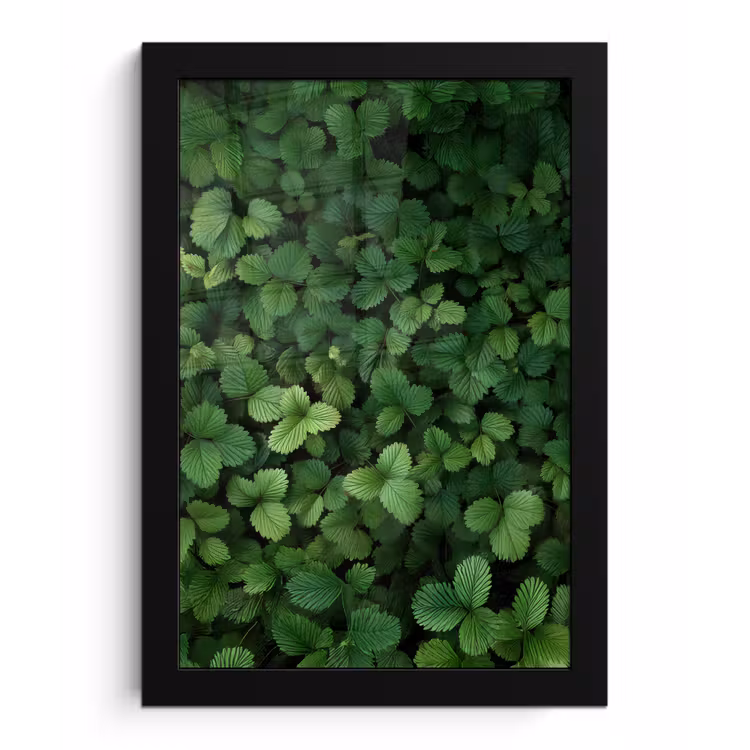 Poster met lijst - Groen - Bladeren - Kartel - Zonlicht — 1