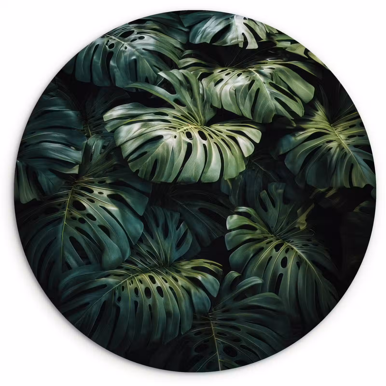 Muurcirkel glas - Plant - Monstera - Lichtinval — 1