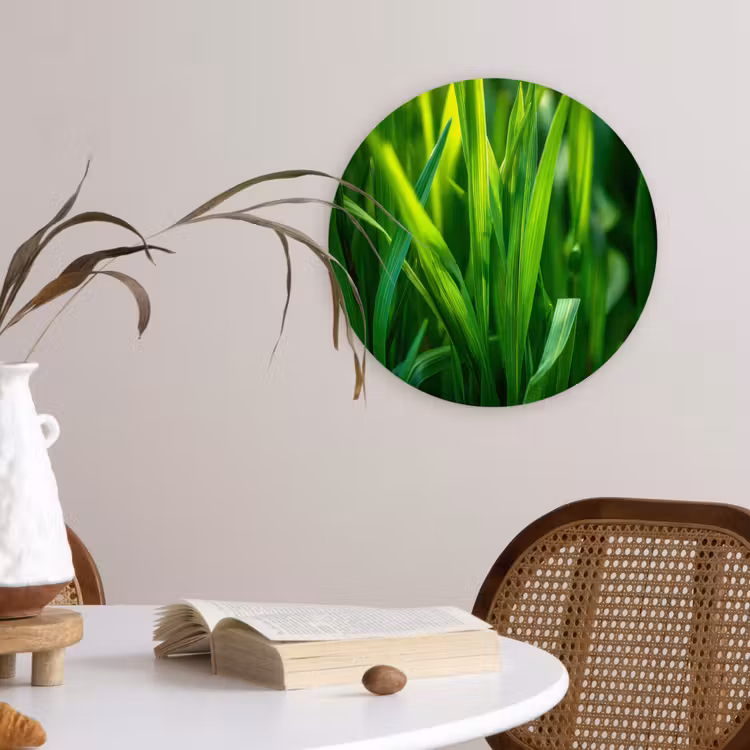 Muurcirkel glas - Grassprieten - Lichtinval - Groen — 4
