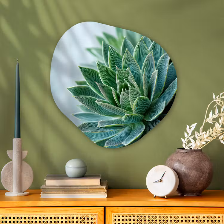 Organisch schilderij - Glas - Vetplant - Bladeren - Groen - Wazig — 2