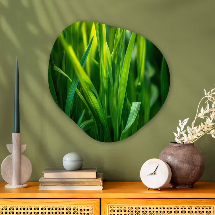 Organisch schilderij - Glas - Grassprieten - Lichtinval - Groen — 2